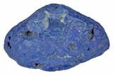 Vivid Blue, Cut & Polished Azurite Nodule - Siberia #190171-2